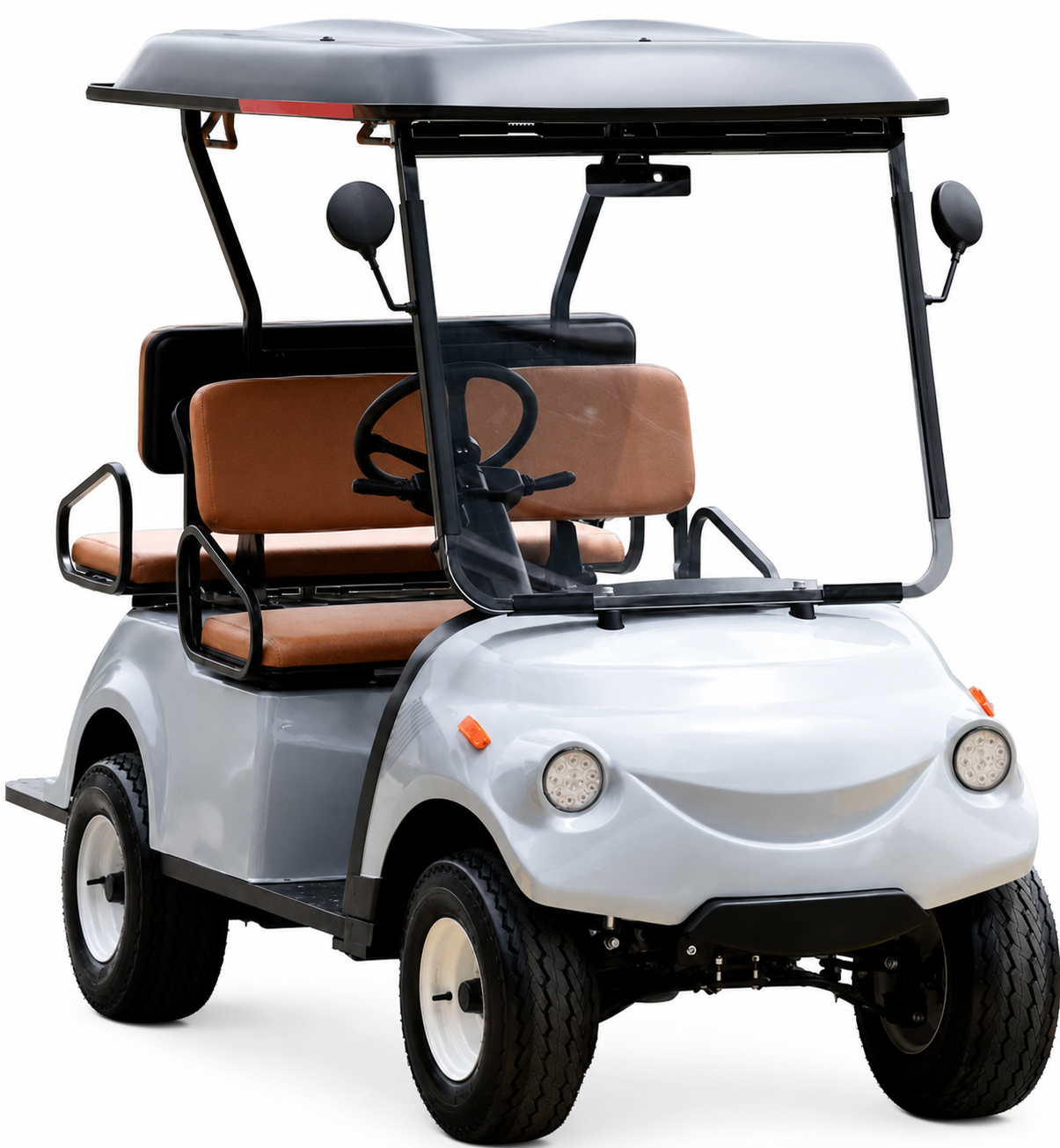 4/6/8 Seater Golf Cart (Buggy)